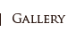 Gallery & Photographs
